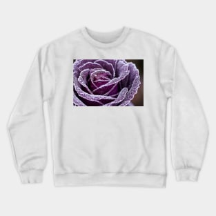 Purple flower close up with studio light Crewneck Sweatshirt